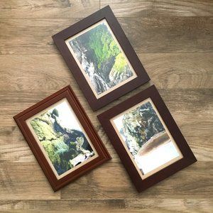 Set of 3 Modern Wood Frames Canadian Moss Nature Photography Botanical Wall Art